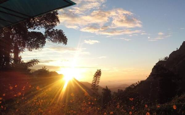 Blue Ribbon Homestay