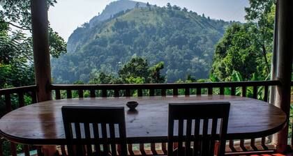 Blue Ribbon Homestay