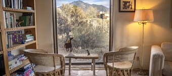 Casa del Sol - Original Eco Build-Beer Can House!