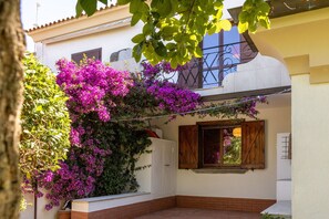 Detalle exterior