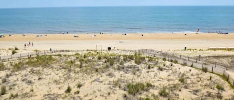 コンドミニアム 1 ベッドルーム | ビーチ