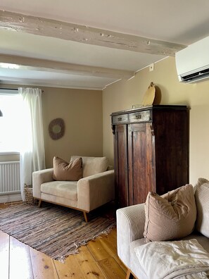 TV connectée, cheminée, livres