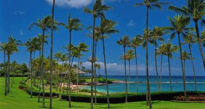 Tropic Home great for fishing 🎣