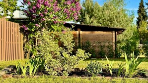 Un giardino con diverse piante e una struttura in legno sullo sfondo.
