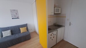 Een ruimtelijk ingerichte leefruimte met een kitchenette, een grijze bank met kussens met dessin, en een poster aan de muur.