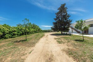 Property grounds - 3982 Serre Salentine - Camera Deluxe (Supersano)