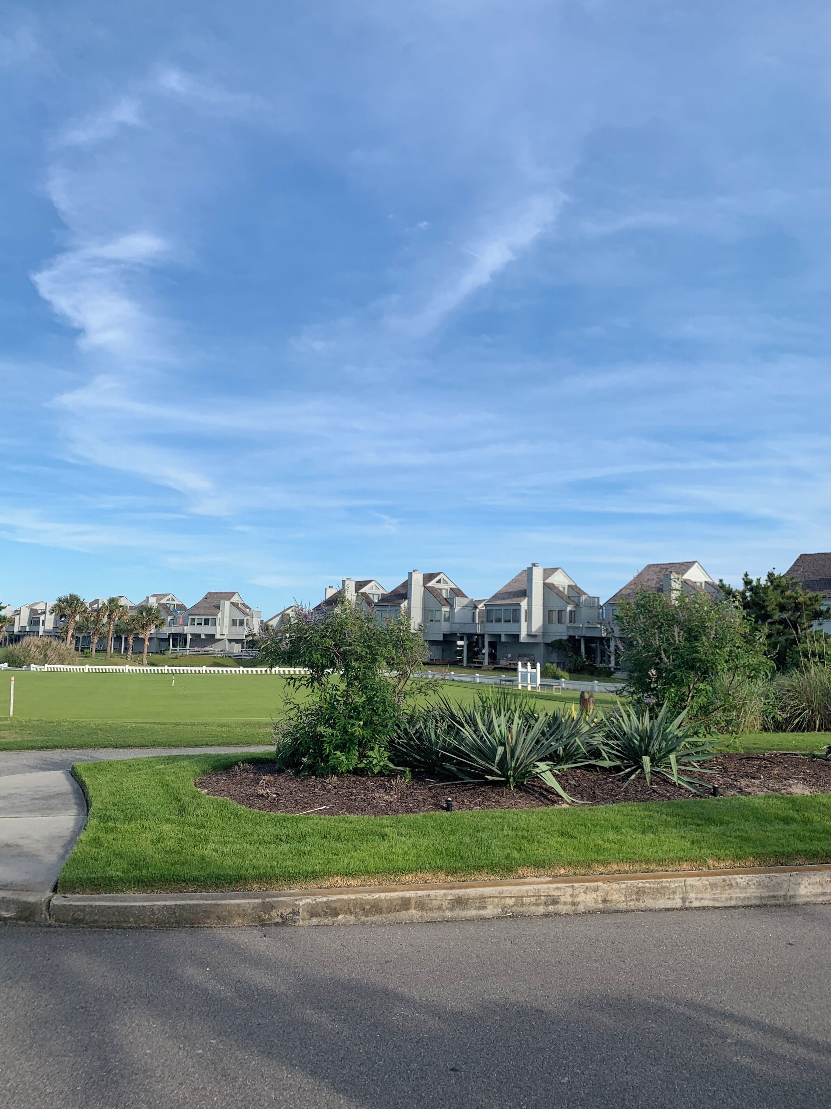 A residential area with modern houses, a well-maintained lawn, and a clear sky.