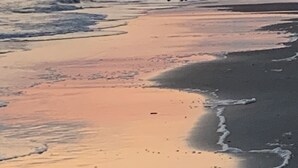 Una spiaggia con onde e un tramonto.