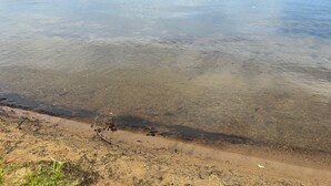 A clear view of a lake with a sandy shore and a forested hill in the background.