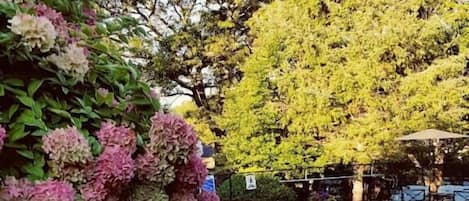 Una piscina al aire libre de temporada