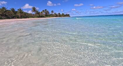 Luxury Beach Front Unit at Doradas, Palmas 301. Steps to Sand and Hotel Wyndham!