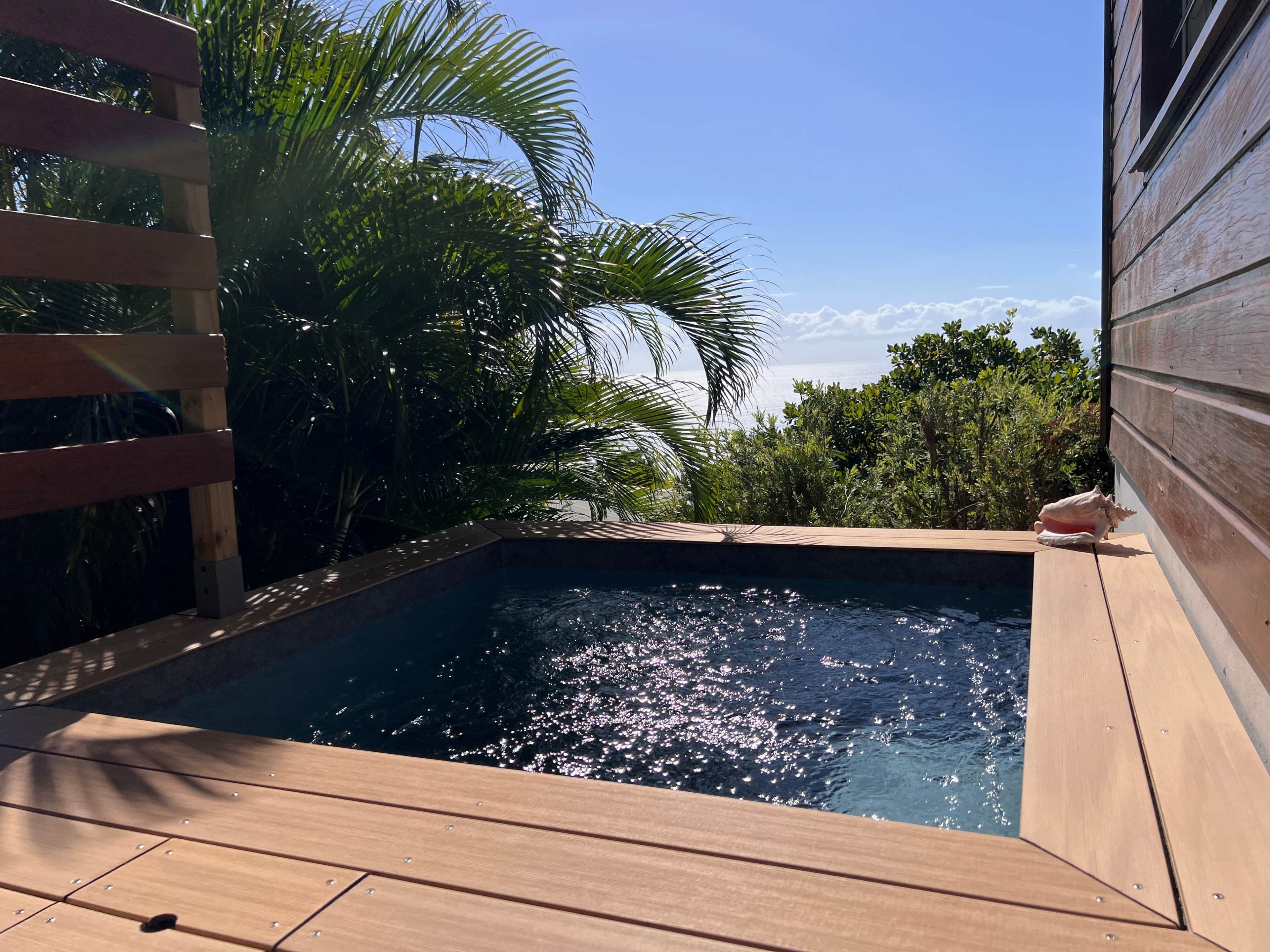 A rectangular hot tub with a wooden deck surrounding it, set against a backdrop of lush greenery and a clear sky.