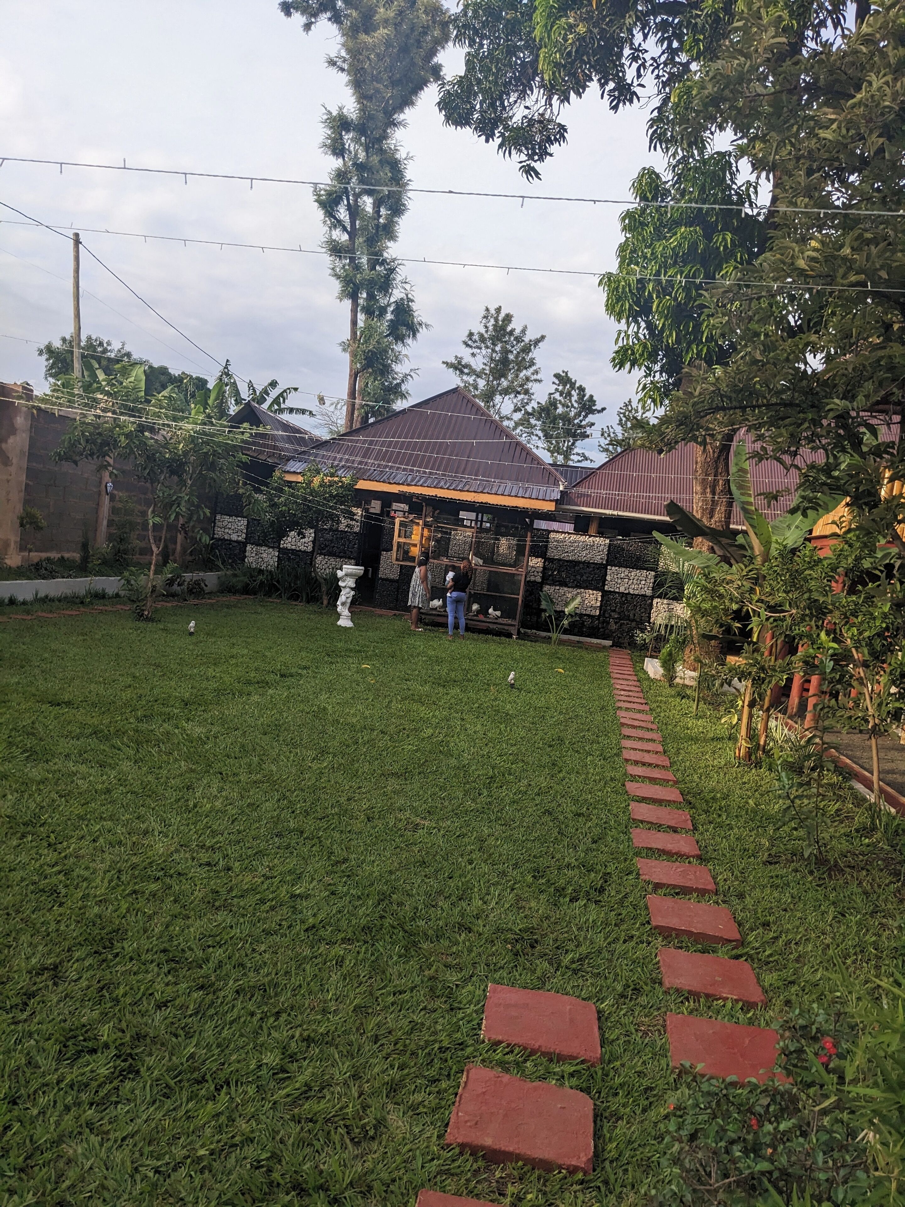 A grassy yard with a brick pathway leading to a house with a metal roof.