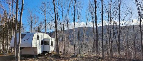 Un camping-car blanc est garé dans une zone boisée, sous un ciel dégagé.