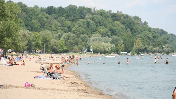 Una playa con gente tomando el sol y nadando, rodeada de árboles verdes y frondosos.