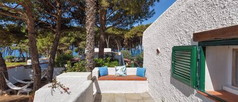 テラス / パティオ