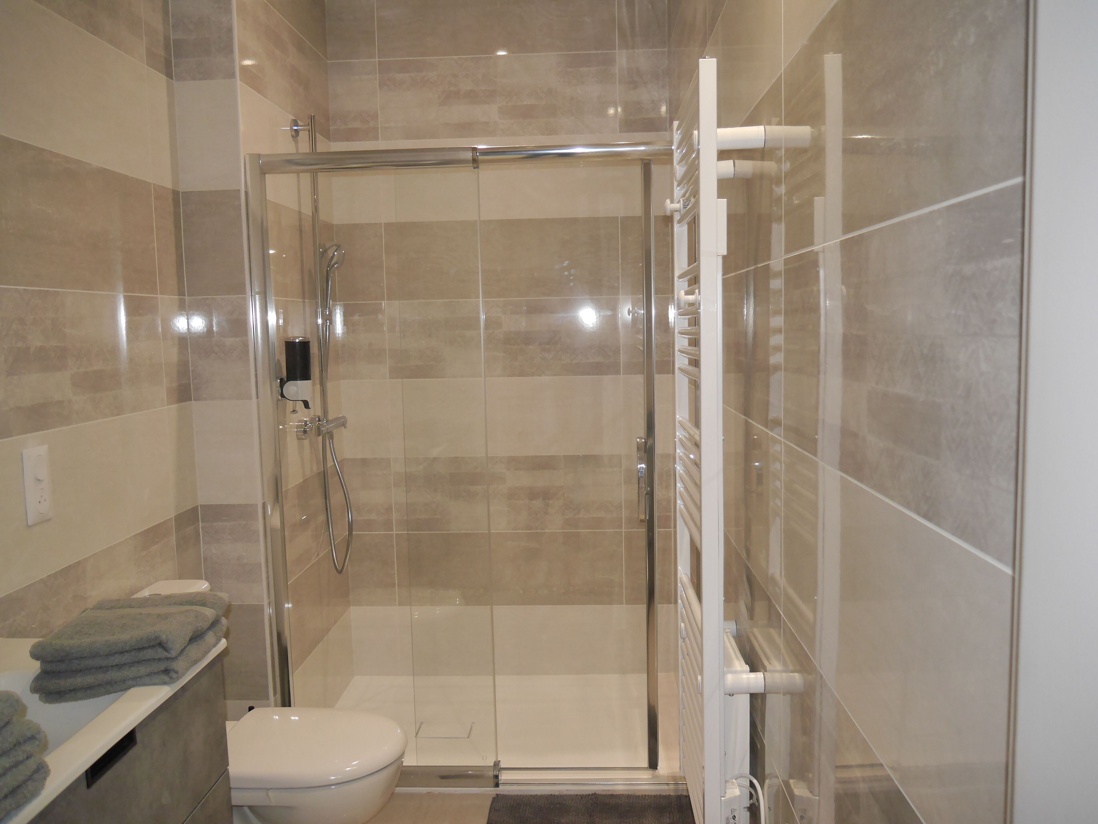 Une salle de bain moderne avec une douche à parois de verre, des toilettes et un porte-serviettes.