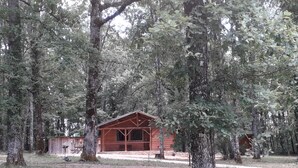 A wooden cabin surrounded by tall trees in a forested area.