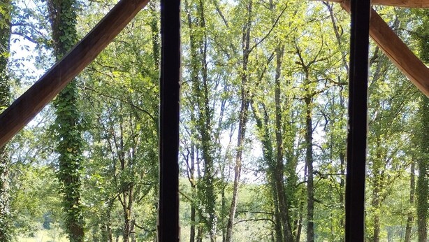 A wooden structure with a view of a forested area through a window.
