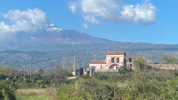 Facciata della struttura