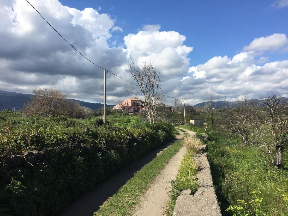 Um caminho rural serpenteia até uma casa com telhado rosa, rodeada por vegetação e montanhas ao fundo.