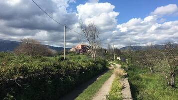 Um caminho rural serpenteia até uma casa com telhado rosa, rodeada por vegetação e montanhas ao fundo.
