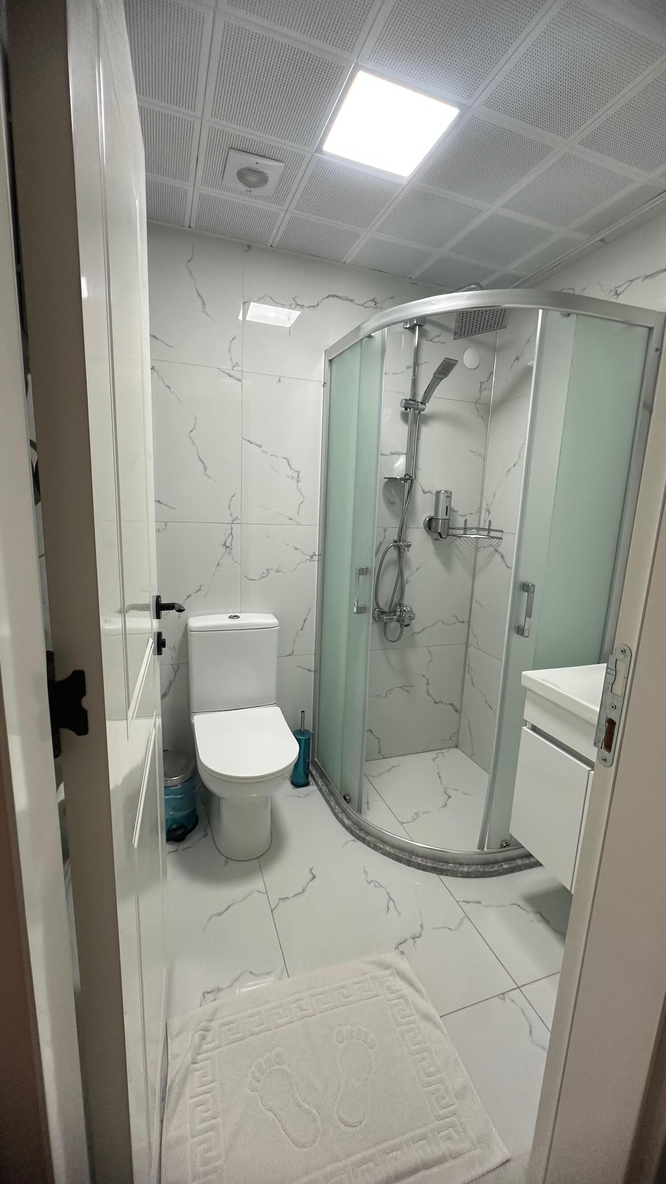 A bathroom with a toilet, shower, and glass door.