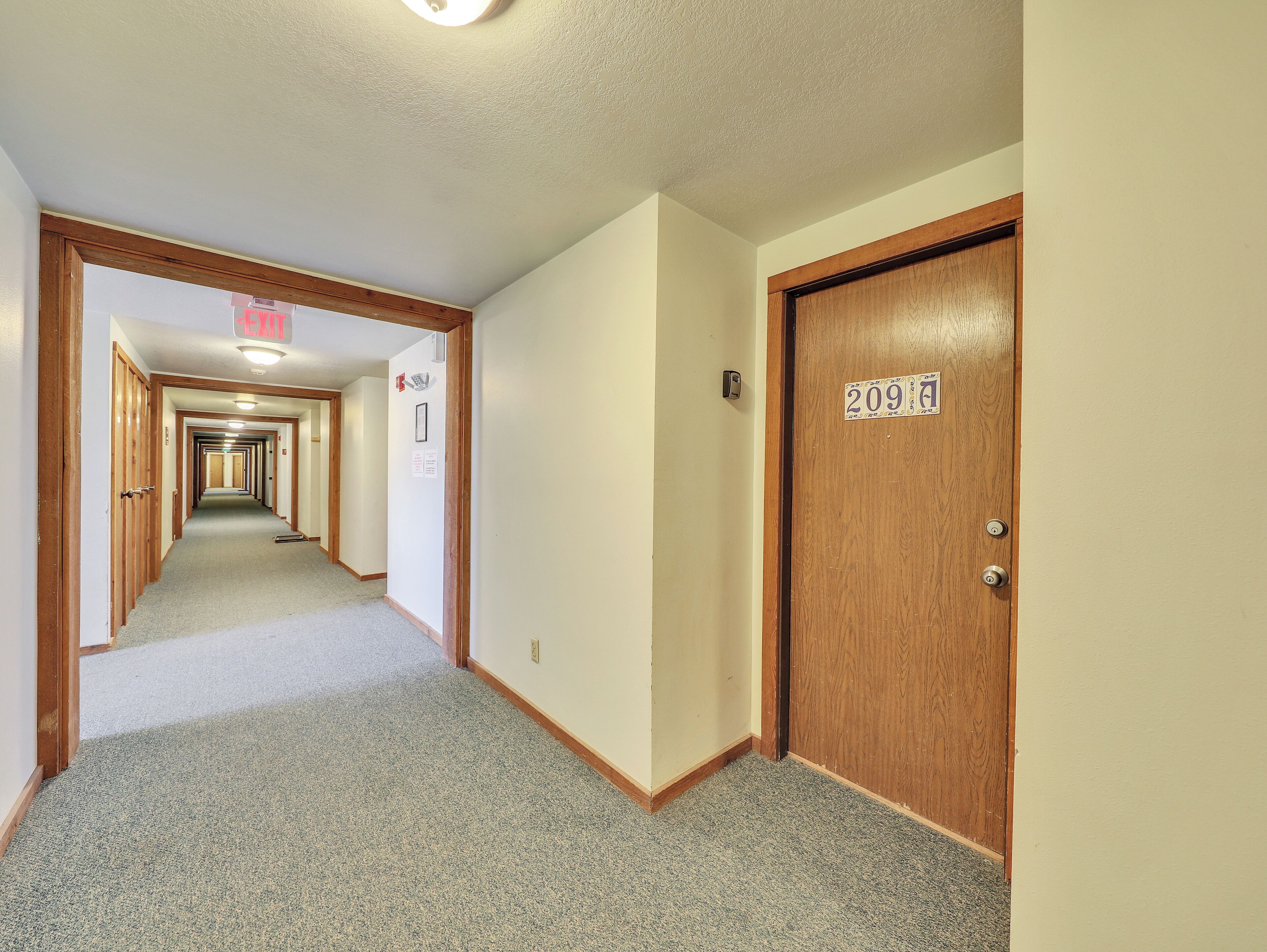 A hallway with carpeted floors, wooden doors, and a sign indicating room number 209.