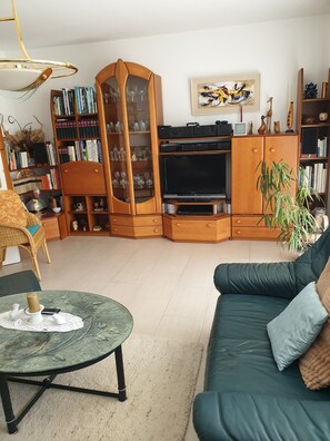 Televisión, reproductor de DVD, libros, estéreo