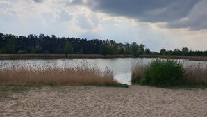 Una playa arenosa con un lago tranquilo, rodeada de altas hierbas y árboles bajo un cielo nublado.