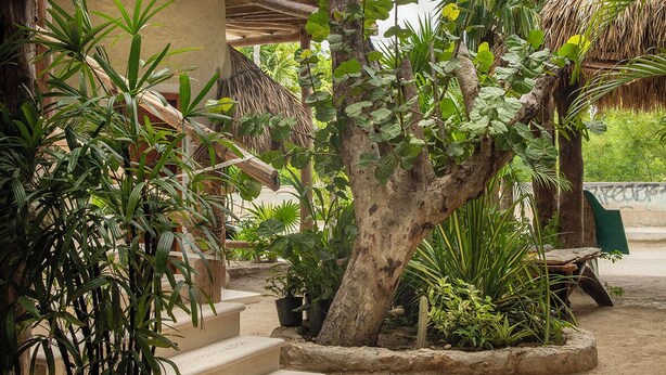 Unclassified image, 1 of 16, button - Mawimbi Boutique Hotel (Isla Holbox)