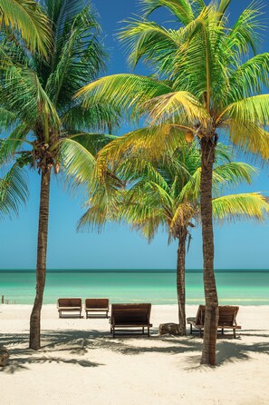 On the beach, white sand - Mawimbi Boutique Hotel (Isla Holbox)