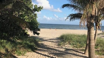 Playa en los alrededores
