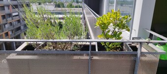 Sweet Lori Apartment