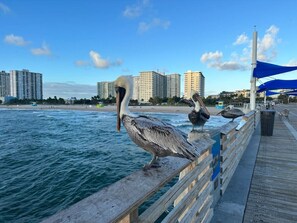 Beach nearby - New & Blue - 2 blocks to the beach (Pompano Beach)