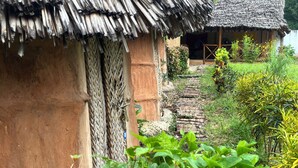 A rustic thatched-roof hut with a woven door and a stone pathway leading to it. - zanzigo (Nungwi)