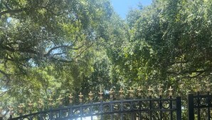 Una entrada con portón y señal de advertencia, un camino pavimentado y árboles al fondo.