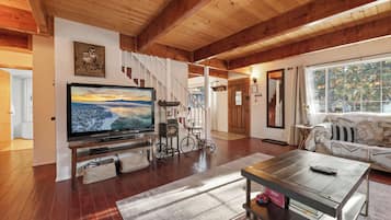 Televisión, chimenea, reproductor de DVD y libros