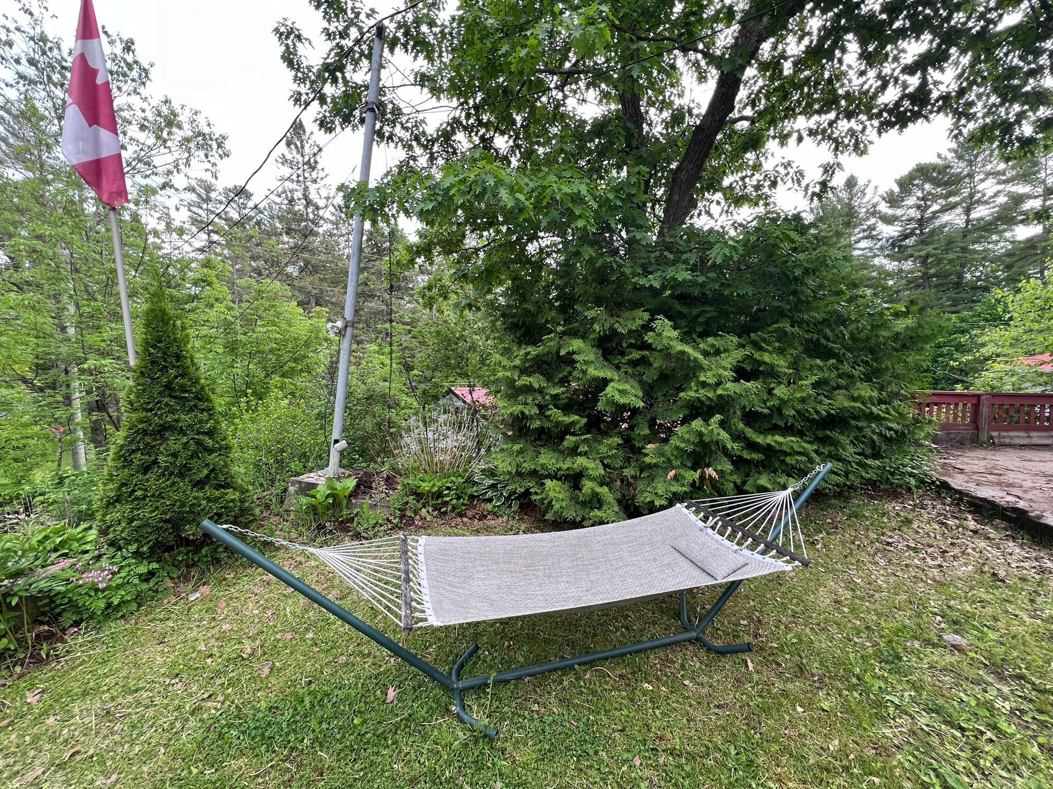A hammock in a grassy area with trees and a flagpole.