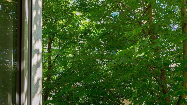 A window with a view of dense green foliage and trees. - Vienna Residence Frankfurt, Schweizer Platz #6074 (Frankfurt)