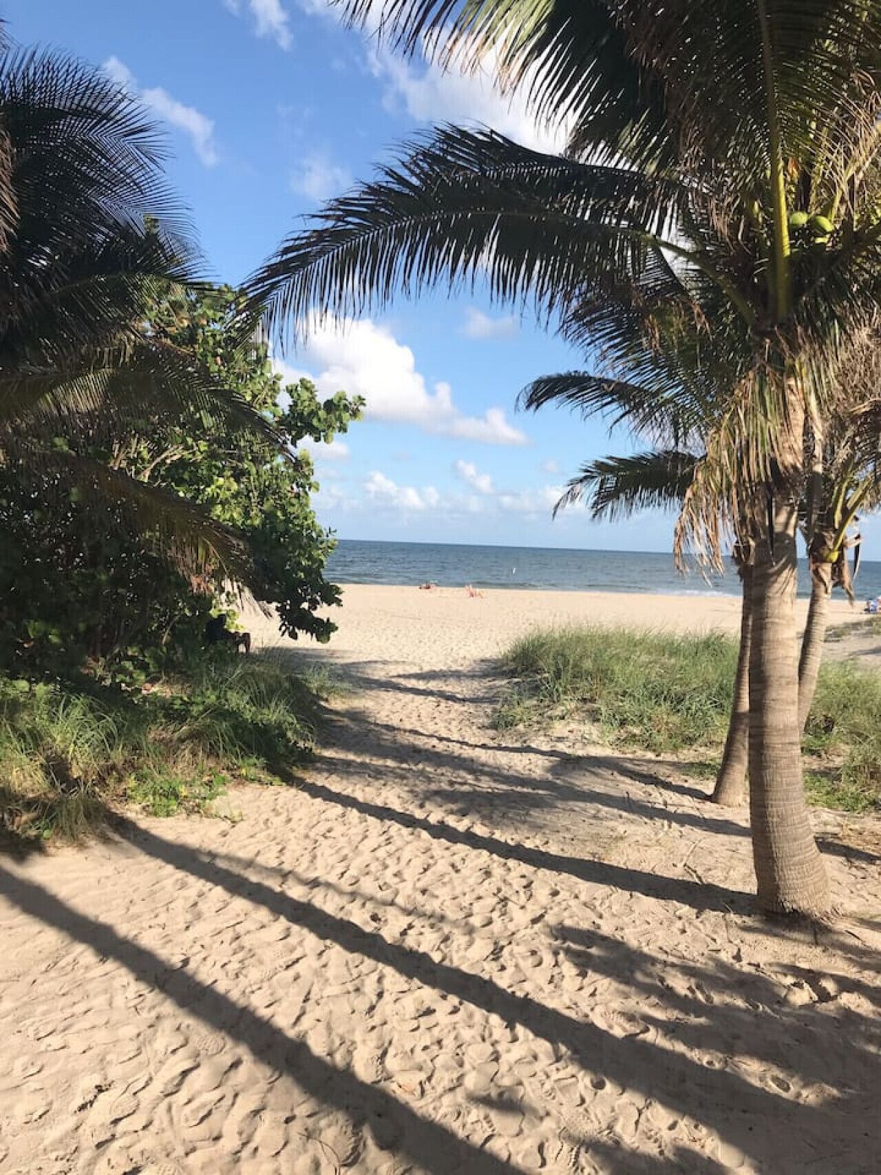Strand