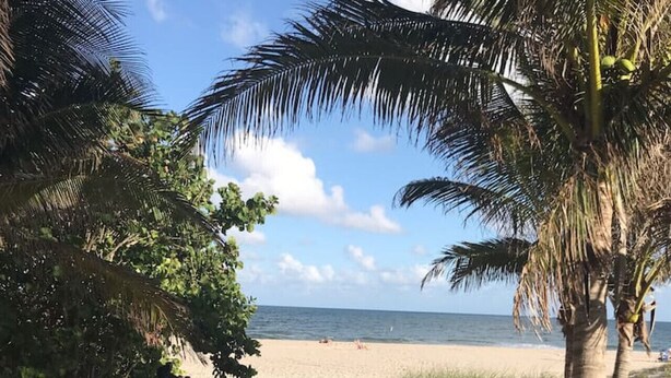 Uma trilha de areia que leva ao oceano, rodeada por palmeiras e vegetação.