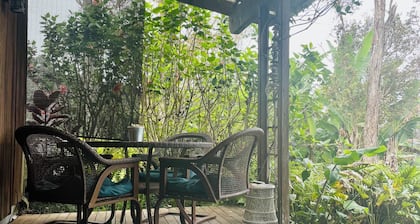 Cozy Cloud Forest Ohana