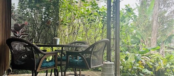 Cozy Cloud Forest Ohana