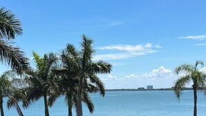 A grassy area with palm trees and a view of a calm body of water.