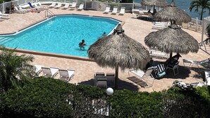 A swimming pool with lounge chairs and umbrellas, surrounded by palm trees and a view of the water.