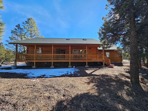 Secluded cabin nestled in the woods 