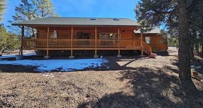Secluded cabin nestled in the woods