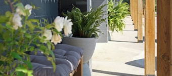 อินน์ Stay Inn Muskoka