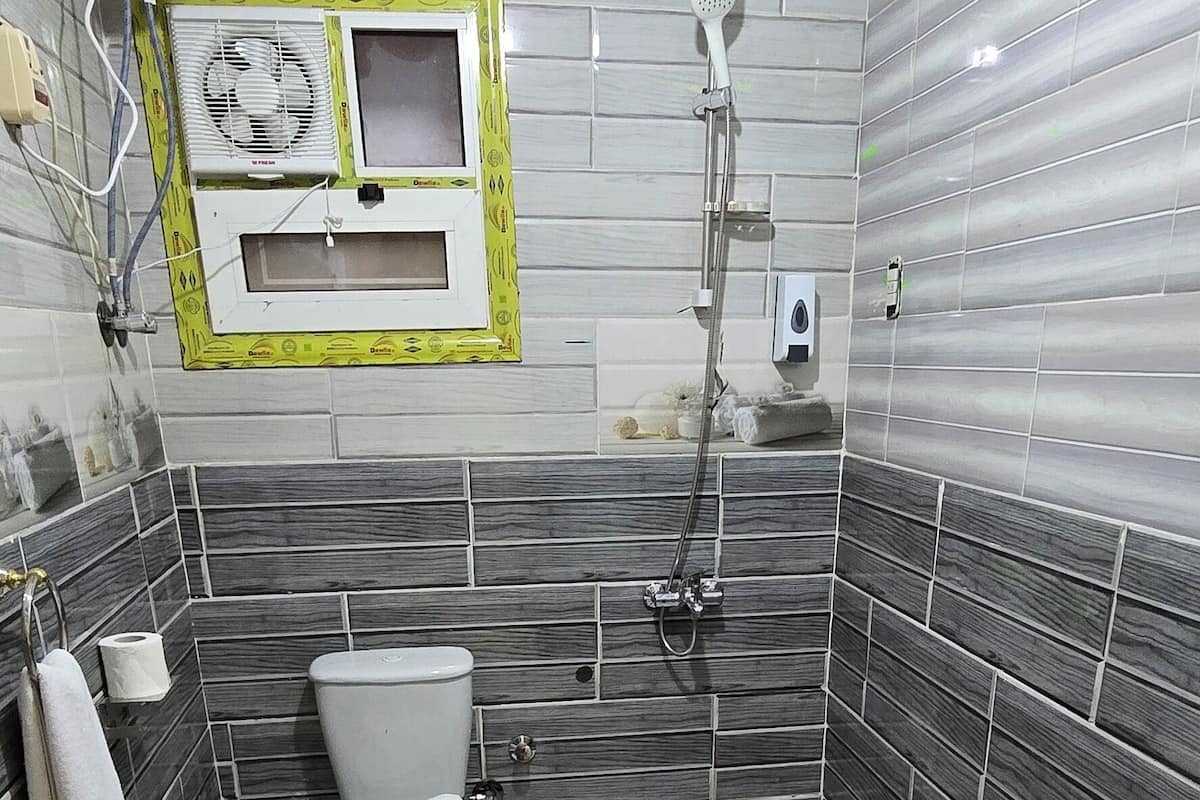 Shower, free toiletries, hair dryer, towels